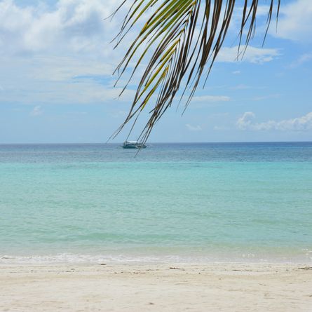 Veerboot naar Bohol Veerboot naar Bohol