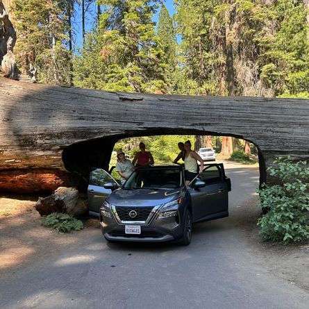 Sequoia National Park