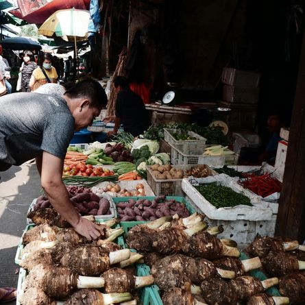 Jakarta