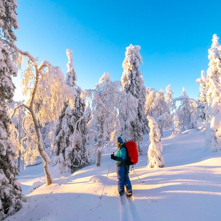 Sneeuwschoenentocht Riisitunturi National Park