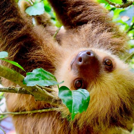 Naar Monteverde Naar Monteverde