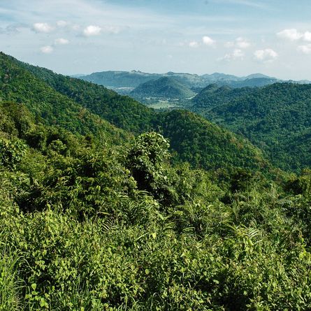Khao Yai - Ubon Ratchathani (Thailand) Khao Yai - Ubon Ratchathani (Thailand)