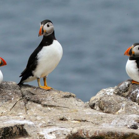 Bangor - Mount Desert Island - Bangor Bangor - Mount Desert Island - Bangor
