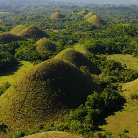 Ontdek Bohol: Chocolate Hills en meer Ontdek Bohol: Chocolate Hills en meer