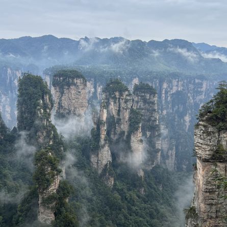Zhangjiajie National Forest Park Zhangjiajie National Forest Park