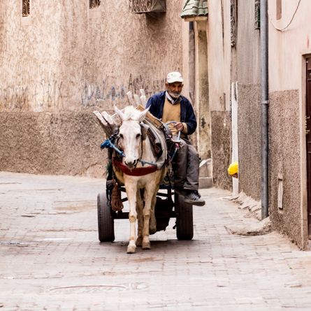 Via Aït Ben Haddou naar Marrakech