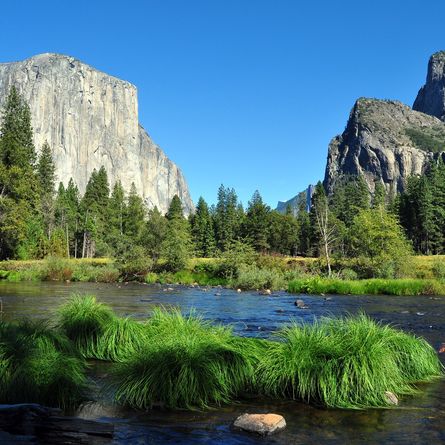 Yosemite National Park