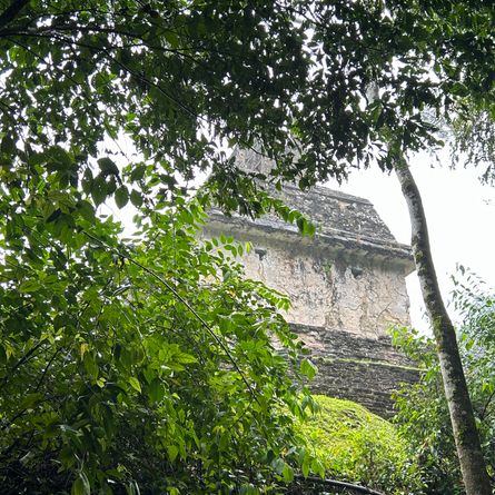 Historisch Palenque