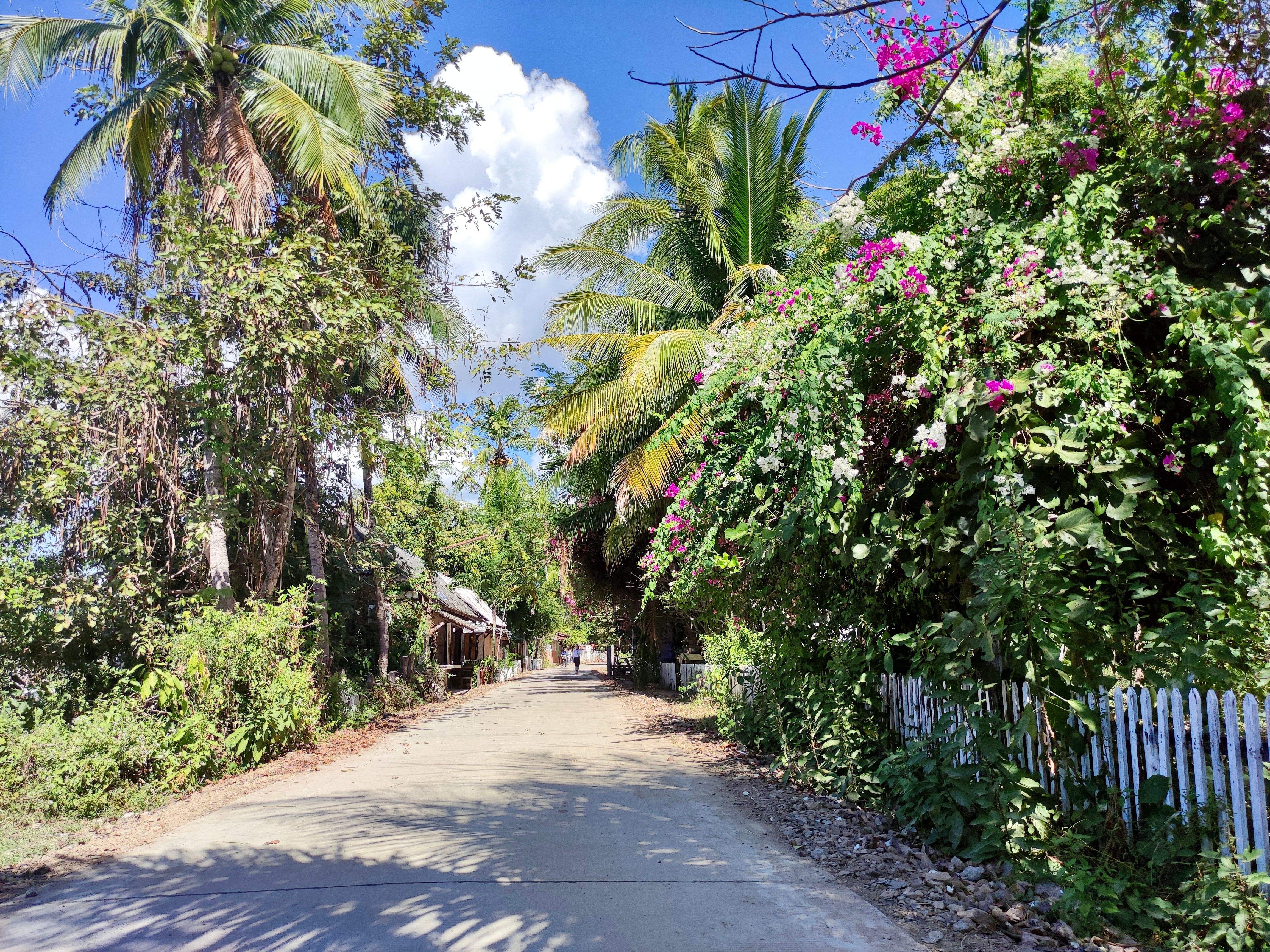 Groepsreizen Laos 4000 Islands