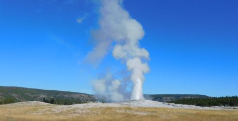 yellowstone national park 1128