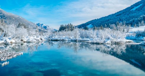 Bezoek Kranjska Gora en Zelenci natuurreservaat