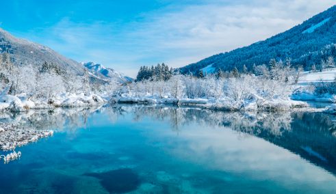 Bezoek Kranjska Gora en Zelenci natuurreservaat