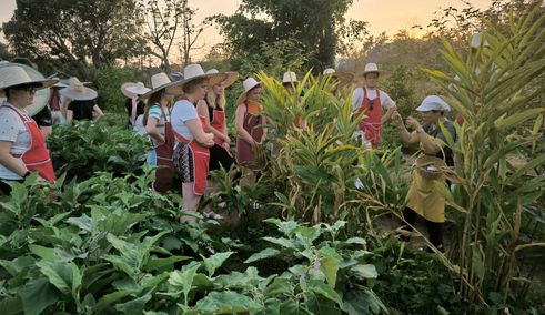 kookles boerderij chiang mai thailand gids feb 2024 9