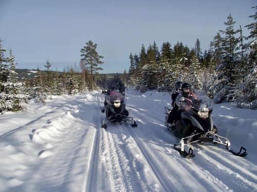 Zweden winter groepsreizen