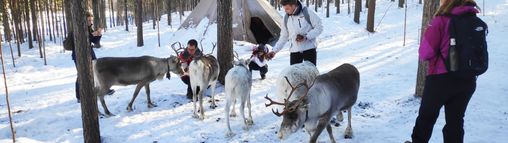 Lapland groepsreis Zweden 18-32 jaar