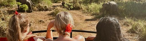 Rondreis Sri Lanka 18-32 jaar