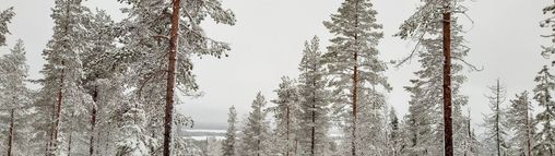 Groepsreizen Finland 18-32 jaar
