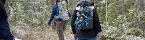 Zweden najaar groepsreis 18-32 jaar