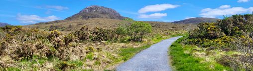 Jongerenreizen Ierland 18-32 jaar