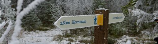 Zweden najaar groepsreis 18-32 jaar