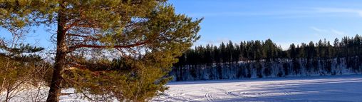 Lapland groepsreis Zweden 18-32 jaar