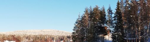 Lapland groepsreis Zweden 18-32 jaar