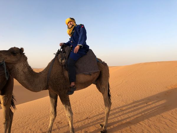 Marokko kamelenrit woestijn 