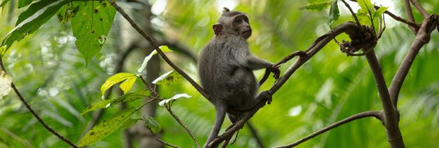 6 verrassende bestemmingen voor groepsreizen Azië