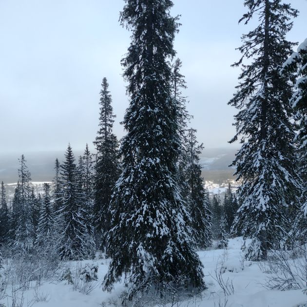 Groepsreizen Canada: bergen, bossen en meren