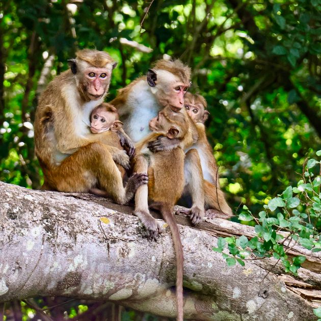 Groepsreizen Canada: bergen, bossen en meren