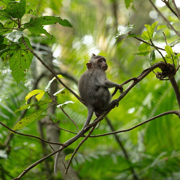 6 verrassende bestemmingen voor groepsreizen Azië Groepsreizen Canada: bergen, bossen en meren