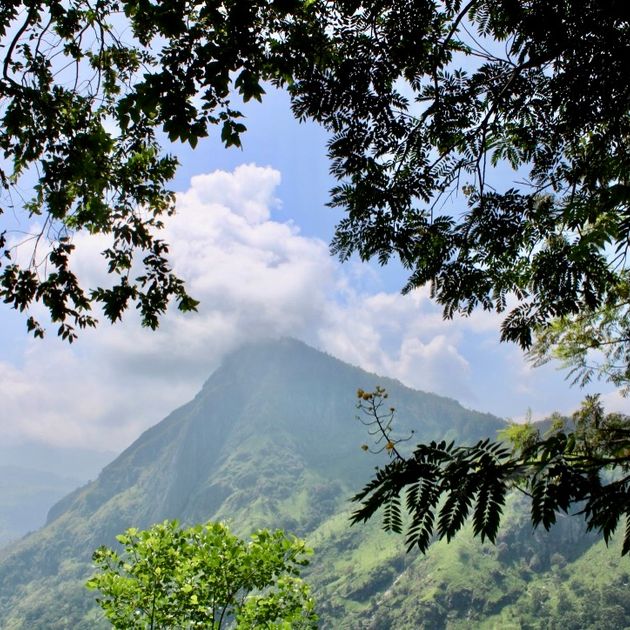 Groepsreizen Canada: bergen, bossen en meren