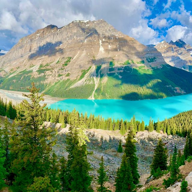 Groepsreizen Canada: bergen, bossen en meren