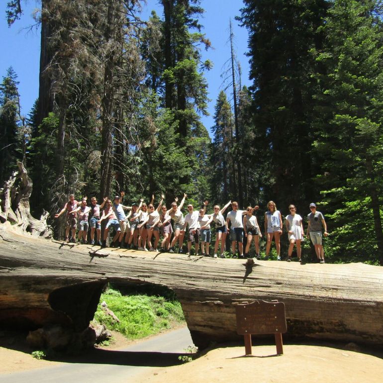 Sequoia National Park Californië rondreis