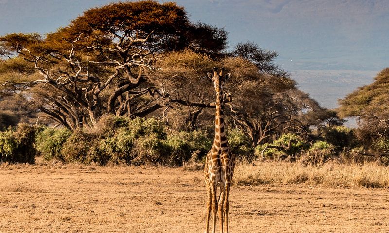 Groepsreizen Tanzania