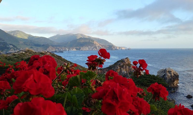 Groepsreis Amerika Californië