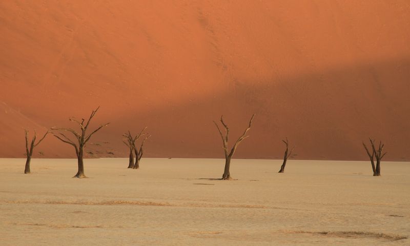 Jongeren groepsreis Namibië