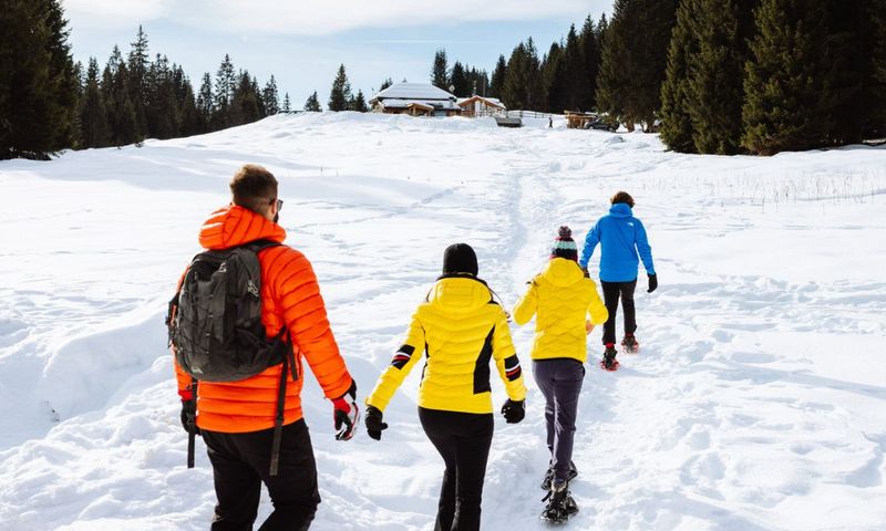 Winteravontuur Alpen