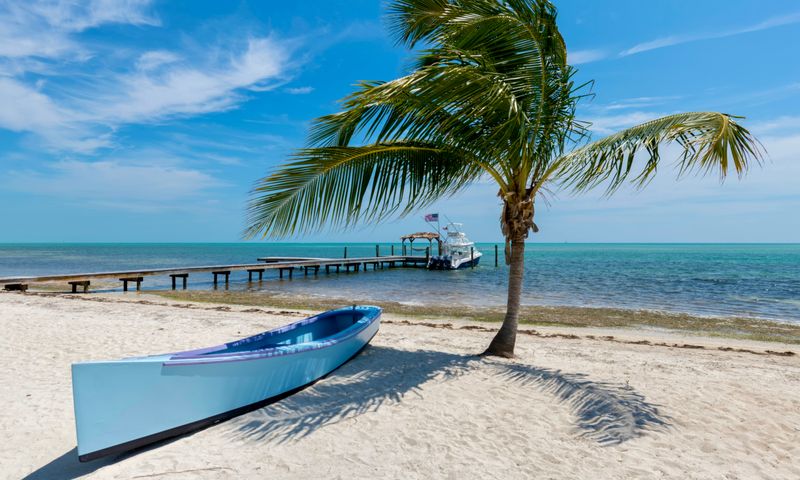 Groepsreis Florida Winter Escape