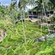 Bezienswaardigheden Bali - deze mag je echt niet missen!