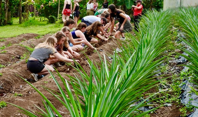 Dit kun je verwachten van een groepsreis Costa Rica!