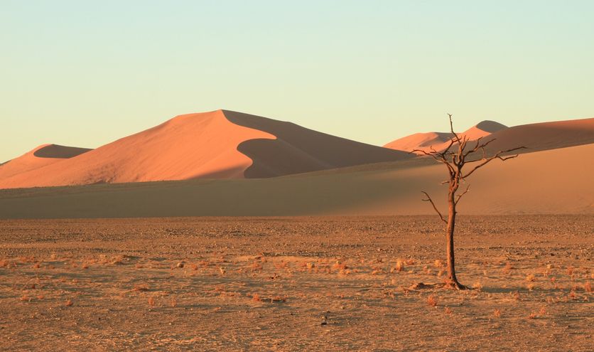 Overnachten in Namibië: van lodges tot safaritenten