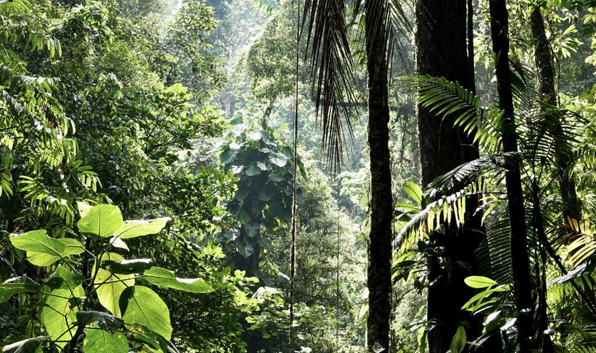 Costa Rica - avontuurlijke groepsreizen