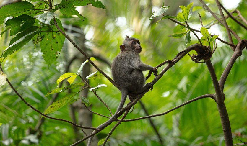 6 verrassende bestemmingen voor groepsreizen Azië