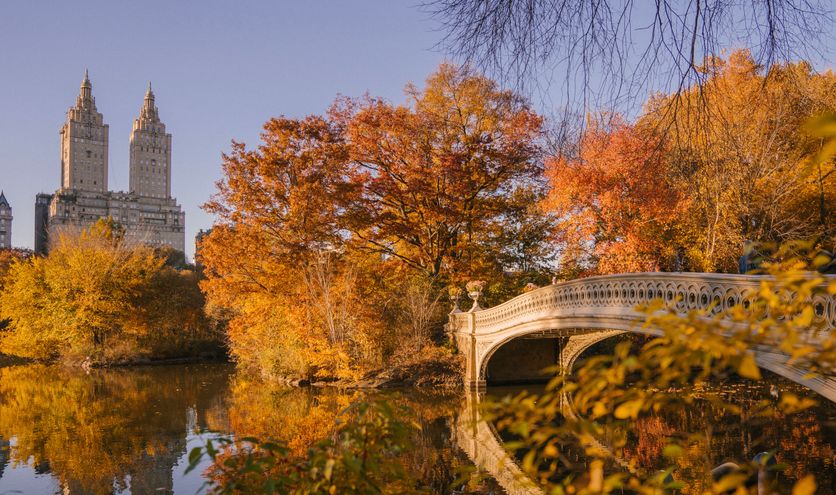 Nieuw: herfst roadtrip New England