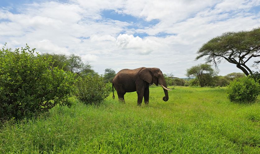 Waarom Tanzania op je bucketlist hoort!