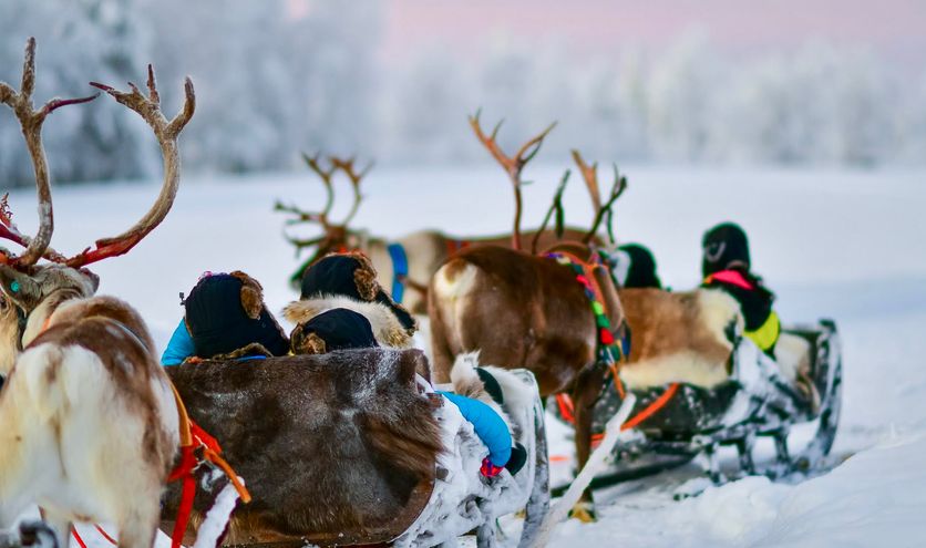 Waarom Finland op je winter-bucketlist moet staan!