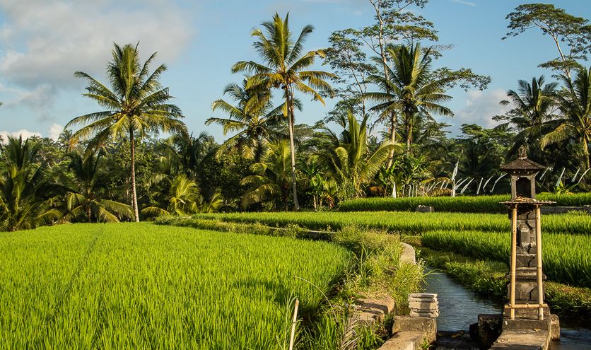 Regenseizoen Bali