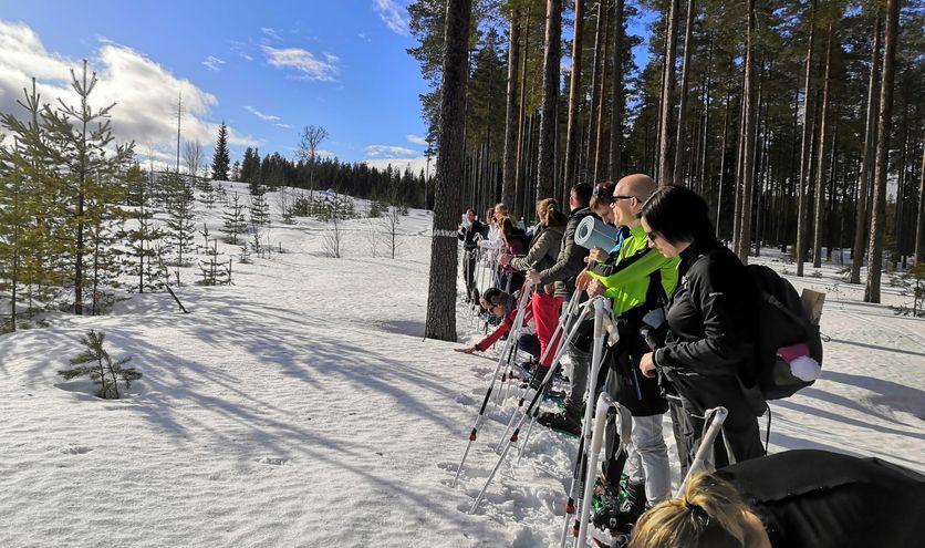 Winters Lapland - singlereizen
