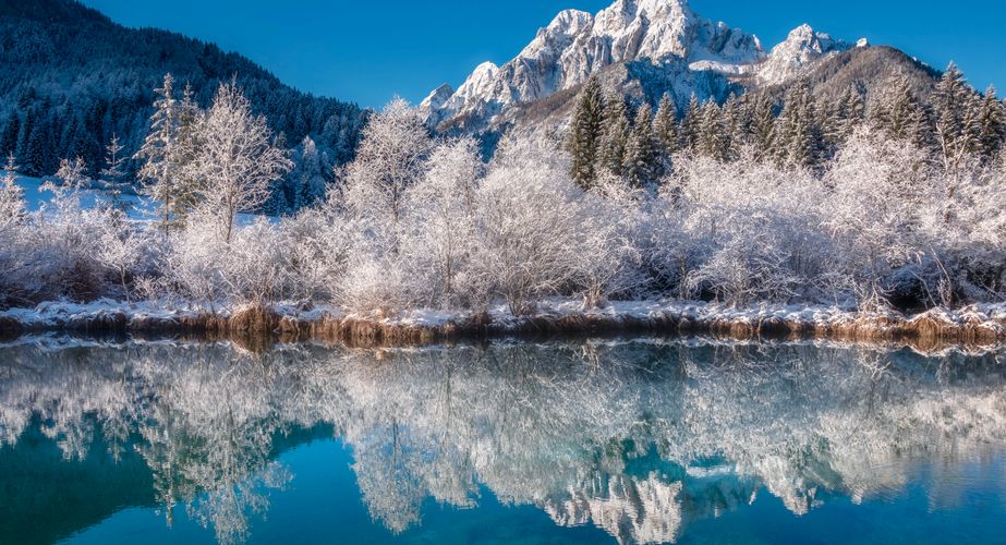 Bezoek Kranjska Gora en Zelenci natuurreservaat Bezoek Kranjska Gora en Zelenci natuurreservaat
